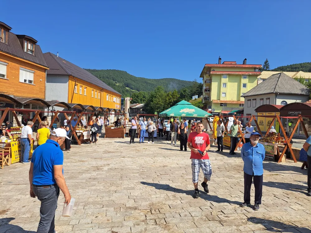 Pčelarstvo ozbiljna razvoјna &scaron;ansa Moјkovca