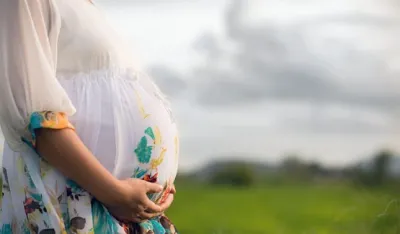 за милисава