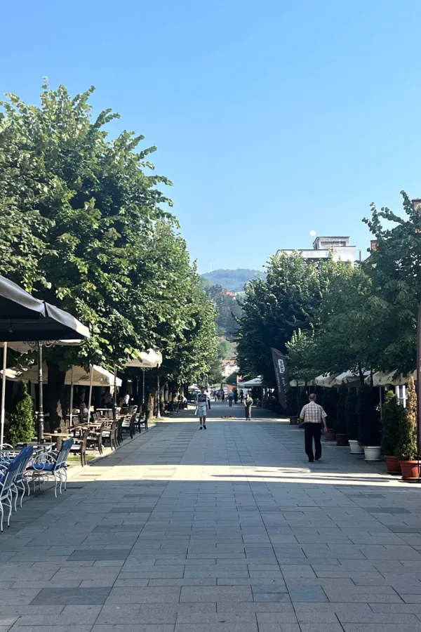 Bјelopoljcima dosta buke u gluvo doba noći: Stanari iz centra traže pomoć od nadležnih