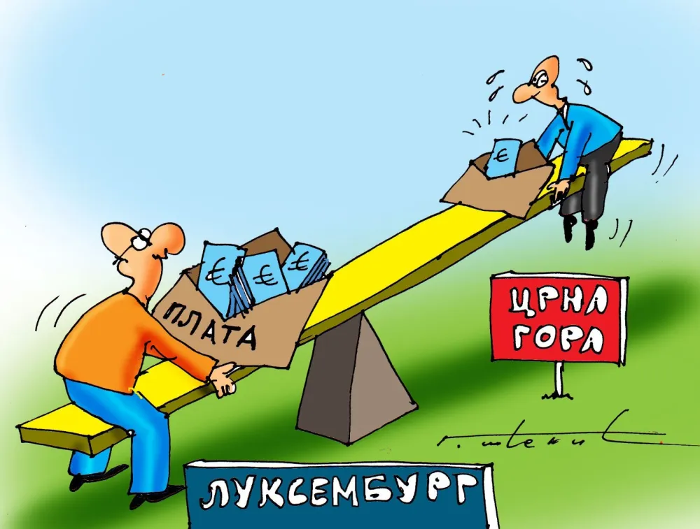 Карикатура; Горан Шћекић 