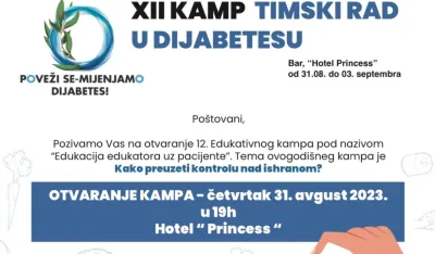 Edukativni kamp o timskom radu u dijabetesu