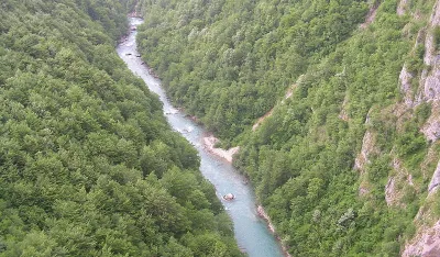 Ријека Тара (фото: Википедија)