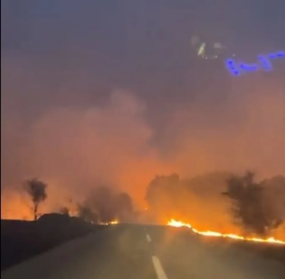 (VIDEO) Požar u Grčkoj bukti već dvije nedelje, izgorjelo vi&scaron;e od 800 kvadratnih kilometara