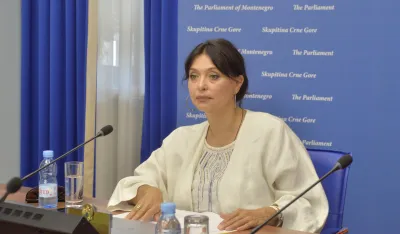 sjednica ustavnog odbora, ustavni odbor, Simonida Kordic