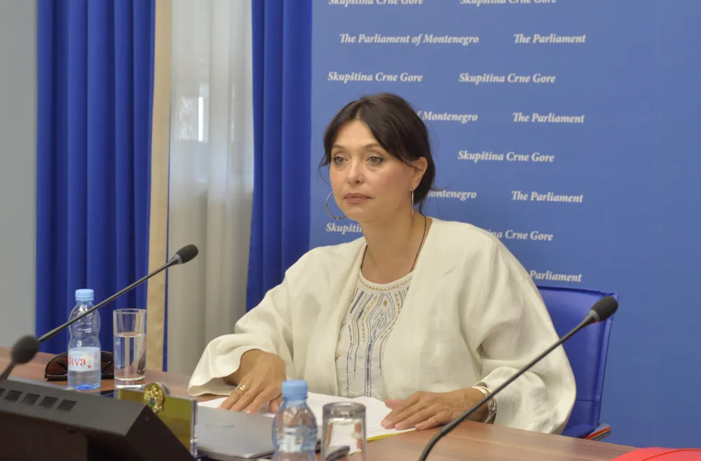 sjednica ustavnog odbora, ustavni odbor, Simonida Kordic