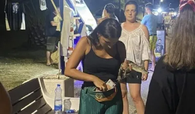 NN lice sa kajmanom snimljeno u jednom gradu na na&scaron;em primorju