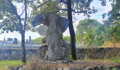 foto: Privatna arhiva