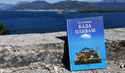 Шејићева књига 