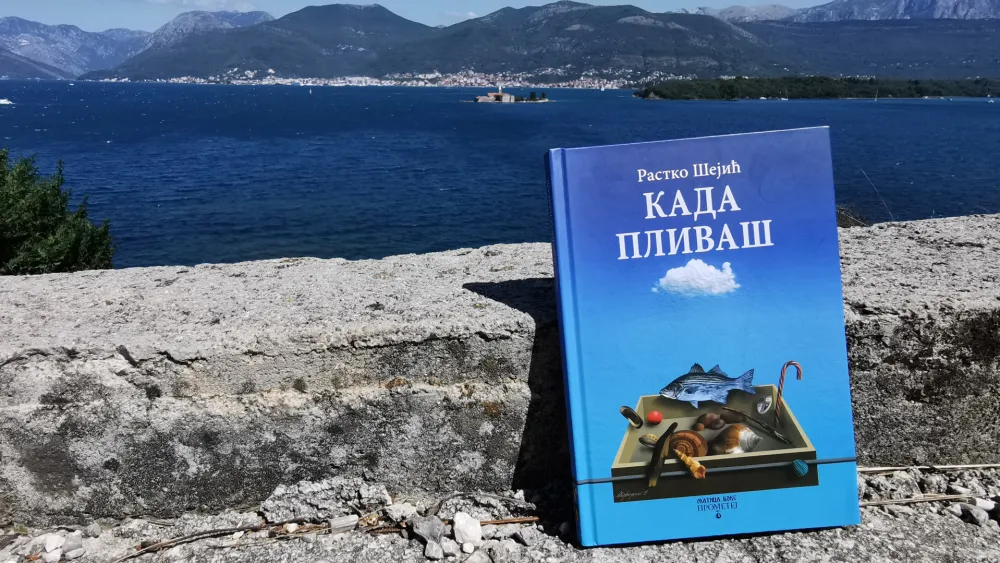 Шејићева књига 