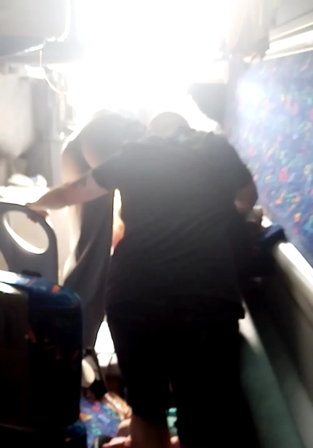 FOTO: Skrin&scaron;ot/ portal Dan