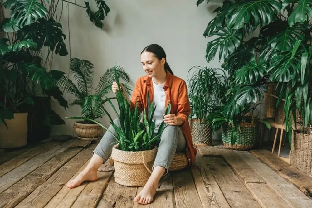 A beautiful young woman is sitting on the floor in her green garden or greenhouse, taking care of plants. The concept of gardening, landscaping in urban conditions