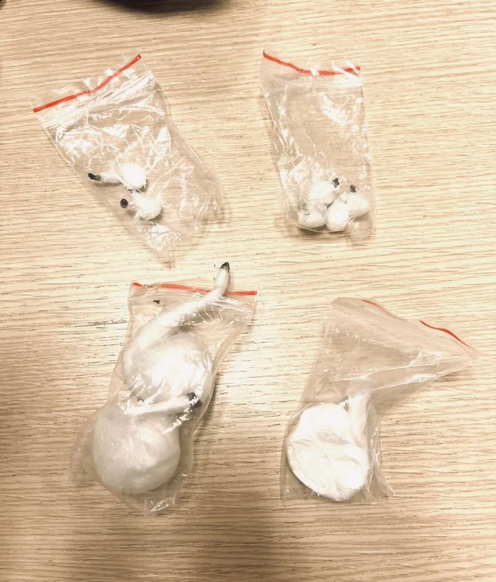 Pred sudom zbog oružja, metaka, kokaina i marihuane