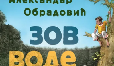 Корице књиге