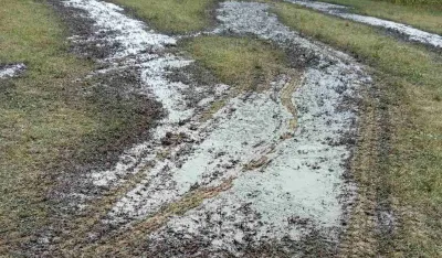 Bijelo Polje: Feklije iz septičke jame izlivene na livadu