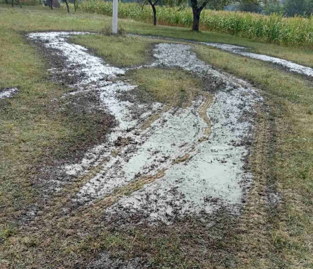 Bijelo Polje: Feklije iz septičke jame izlivene na livadu