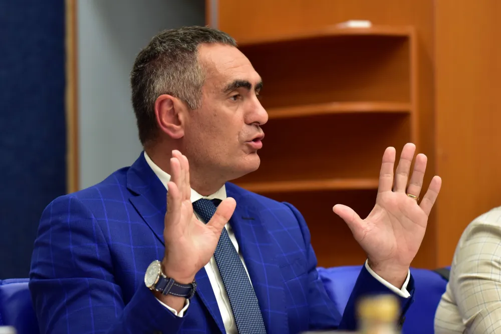 Odbor za ekonomiju, rebalans, Aleksandar Damjanovic