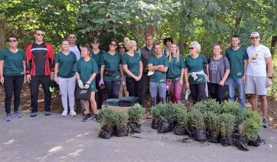 trebjesa po&scaron;umljavanje