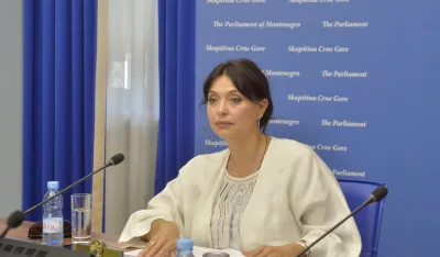 sjednica ustavnog odbora, ustavni odbor, Simonida Kordic