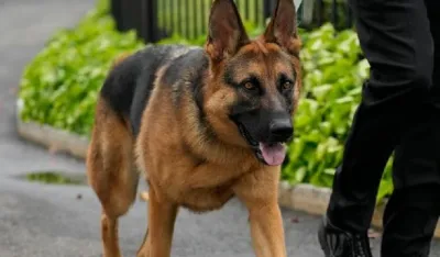 Bajdenov pas
