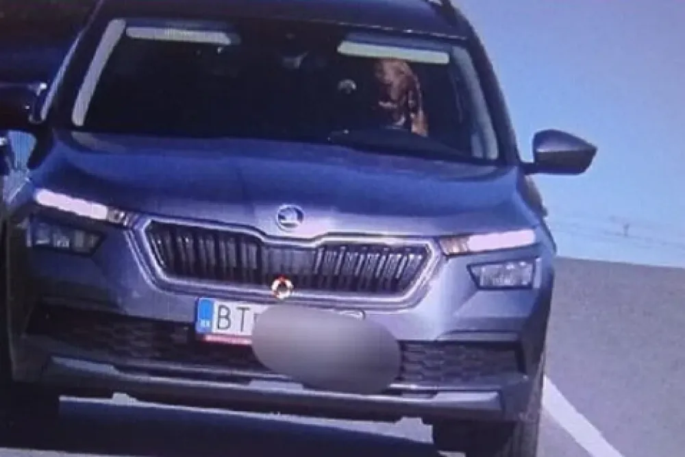 Policijski radar uhvatio neobičan prizor: Pas za volanom automobila