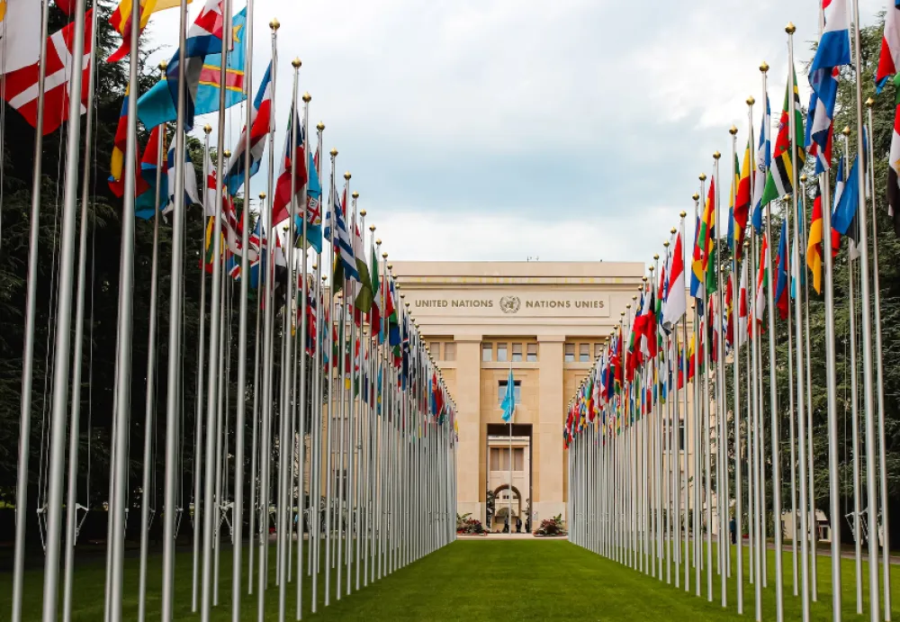 FOTO: Mathias Reding. Unsplash<br>UN