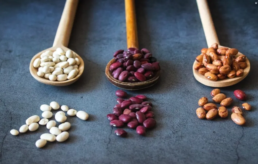 Kako Italijani prave pasulj