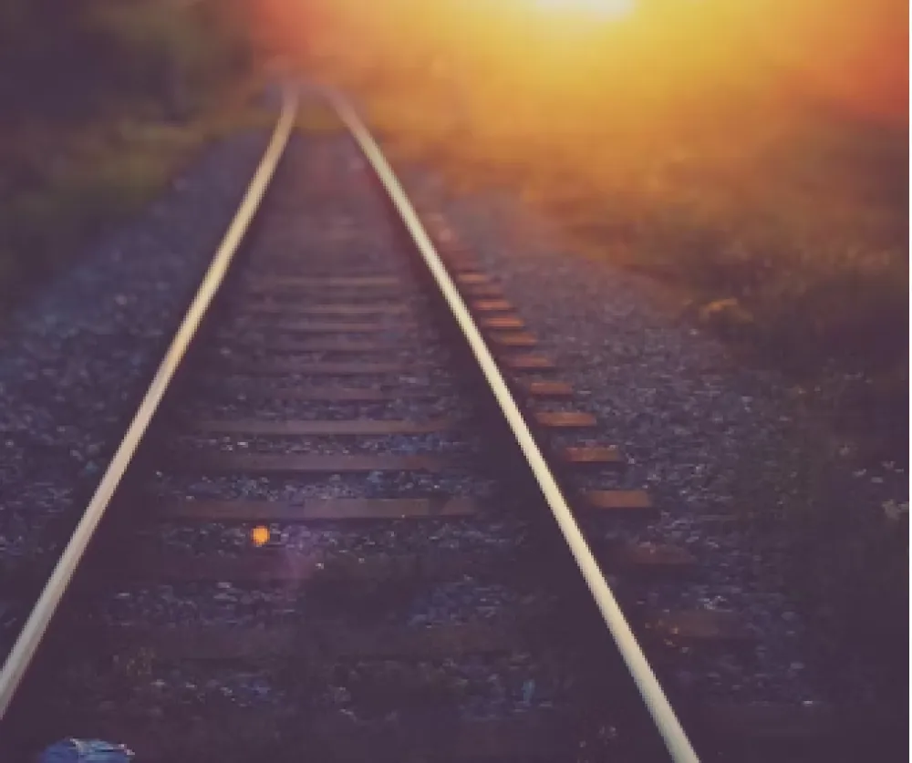 Unsplash, &scaron;ine, voz, ilustracija