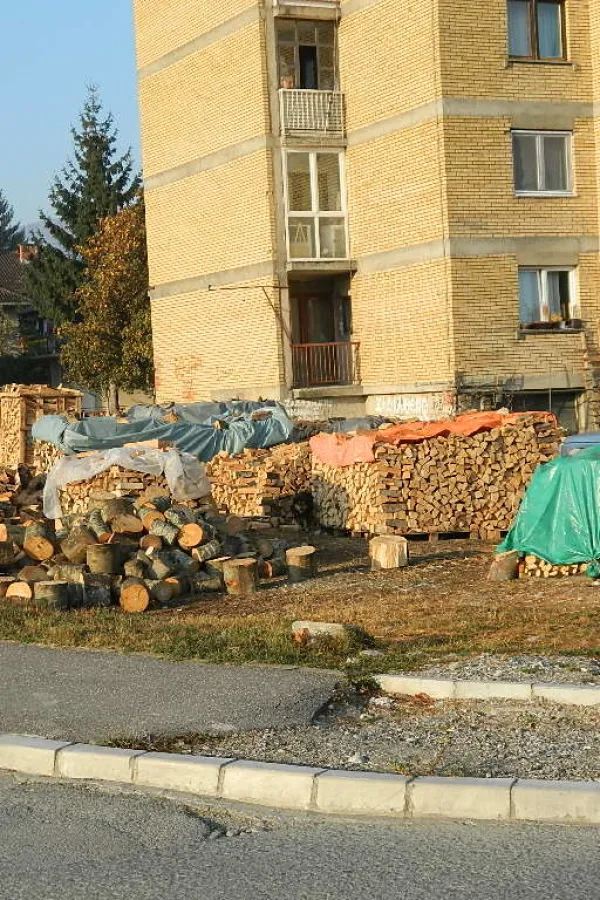 Дрвљаници и даље "красе" дворишта стамбених зграда
