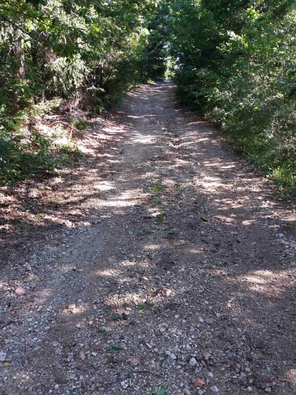 Сеоски путеви и ове зиме без асфалта 