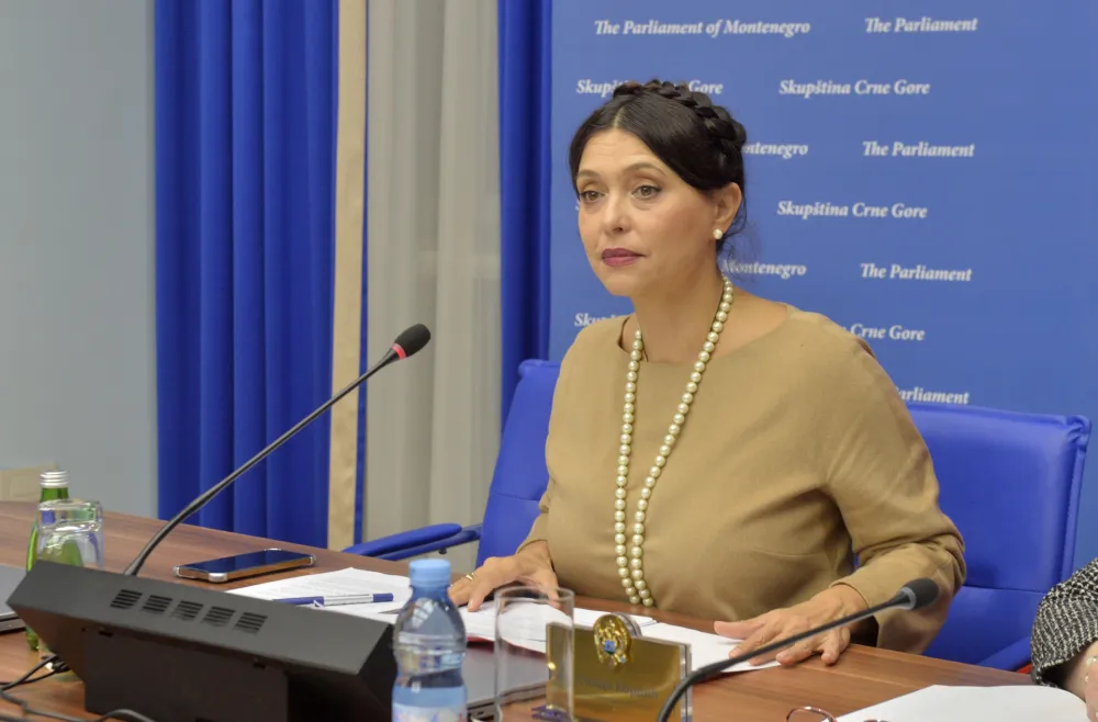 Ustavni odbor, saslusanje kandidata za sudiju, Simonida Kordic, kandidati za sudiju