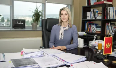 ana novakovic djurovic