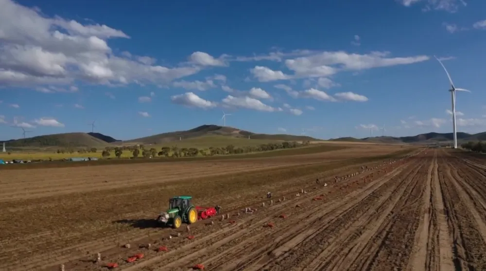 kina zemlji&scaron;te