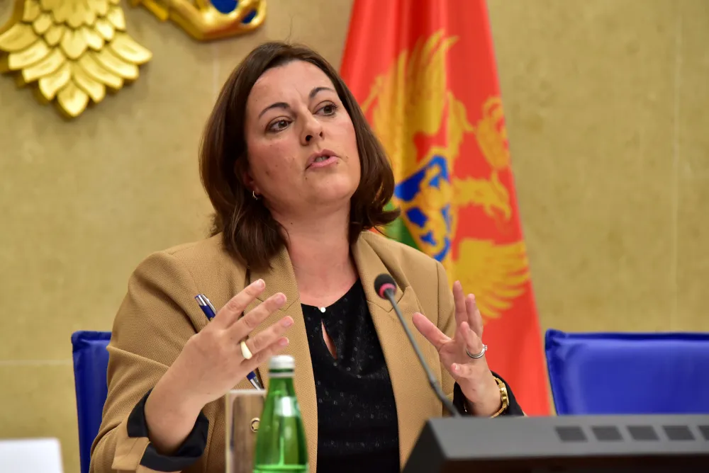 Odbor za turizam i ekologiju, kontrolno saslusanje ministarke Ane Novakovic Djurovic