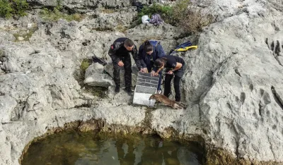 Vidra vraćena u prirodno stani&scaron;te
