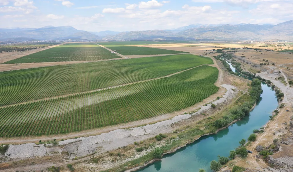 Državno preduzeće nastavilo da niže gubitke: "Plantaže" u minusu 45,7 miliona