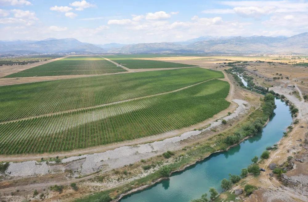 Državno preduzeće nastavilo da niže gubitke: "Plantaže" u minusu 45,7 miliona