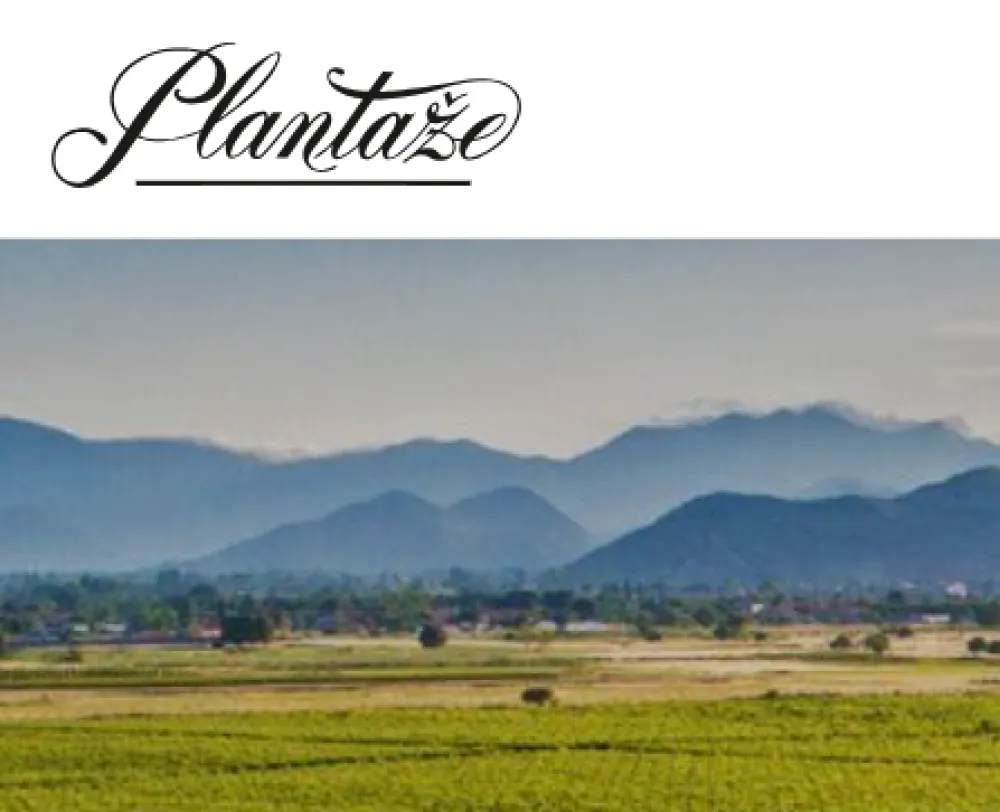 Plantaže: Prihodi za prvih devet mjeseci najveći u posljednjih deset godina