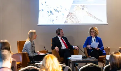 Međunarodna konferencija za za&scaron;titu Ulcinjske solane 