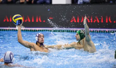 Детаљ са меча