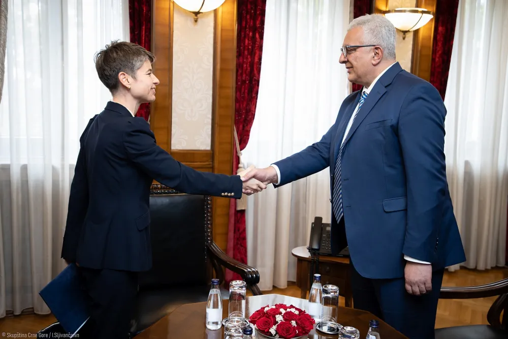 Mandić sa otpravnicom poslova Ambasade Mađarske: Potencijali za unapređenje mnogih oblasti