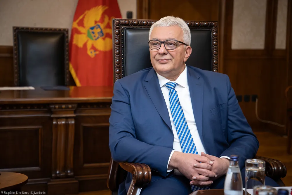 andrija mandić- foto: igor &scaron;ljivančanin