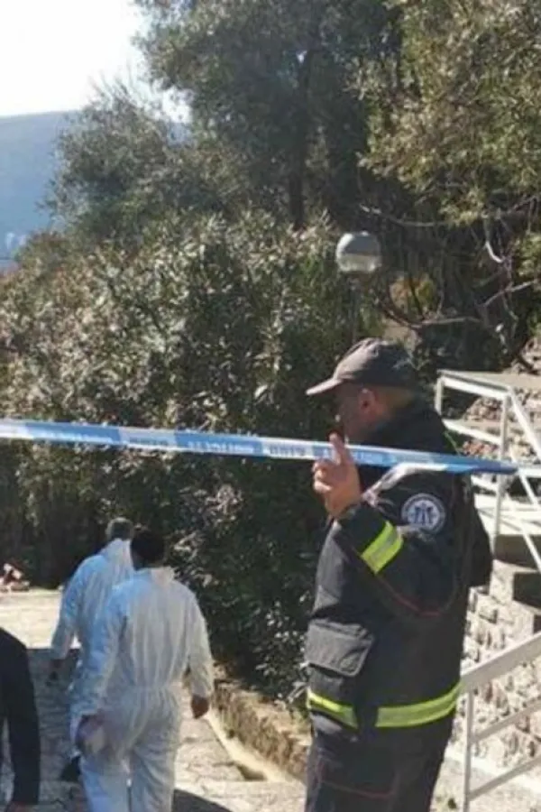 UBISTVO ROGANOVICA/ - DAN