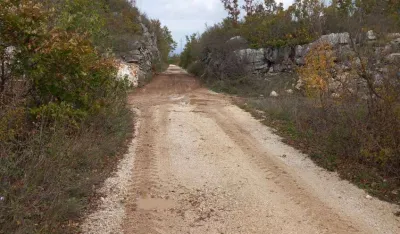 put vilusi