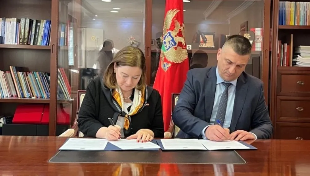 Rajnke i Novović