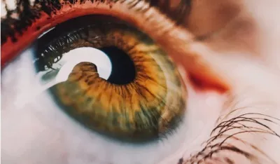 FOTO: Unsplash - Perchek Industrie<br>Oko, ilustracija