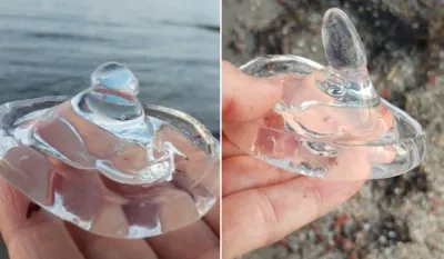 (FOTO) Na plaži blizu Splita pronađene stotine nasukanih prozirnih želatinastih oblika
