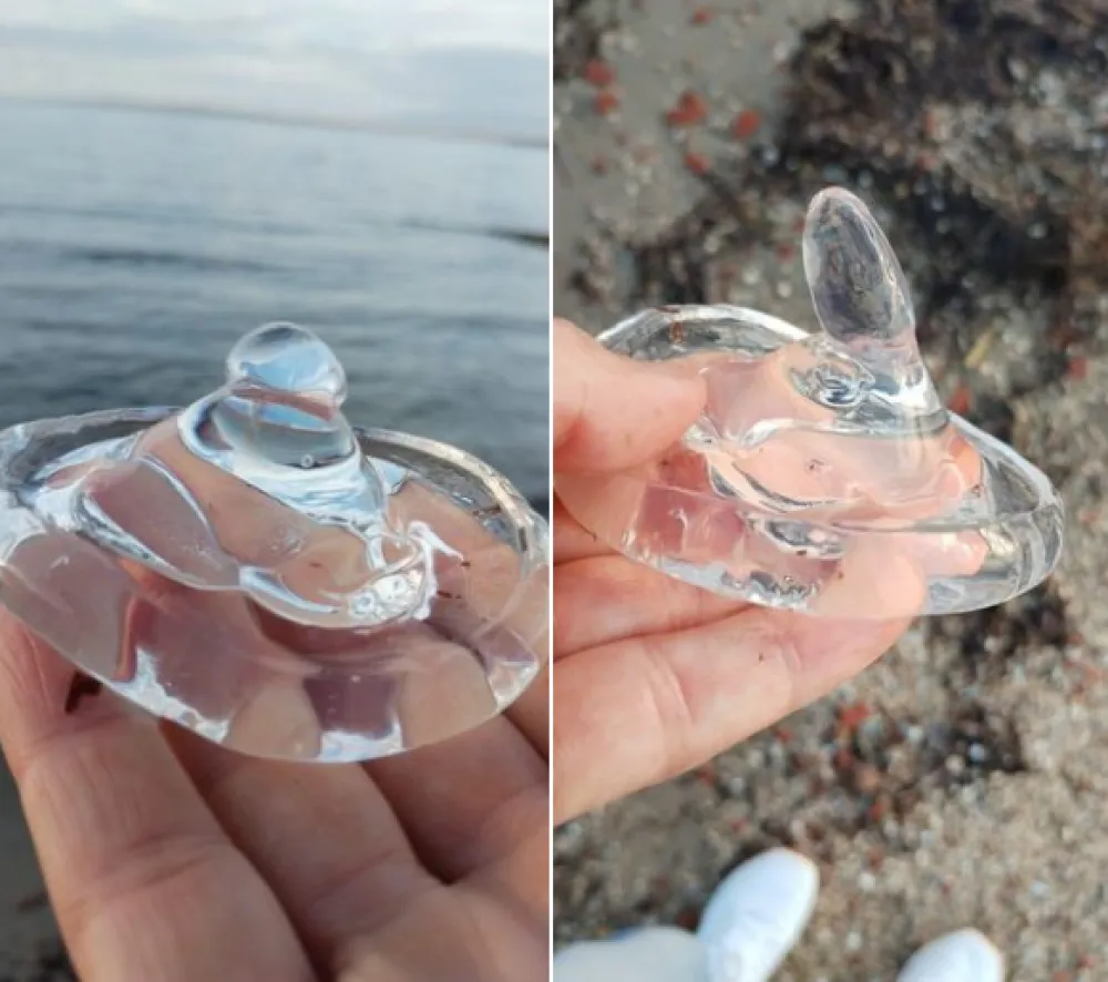 (FOTO) Na plaži blizu Splita pronađene stotine nasukanih prozirnih želatinastih oblika