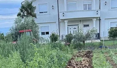 Тоне кромпира предали чипсари
