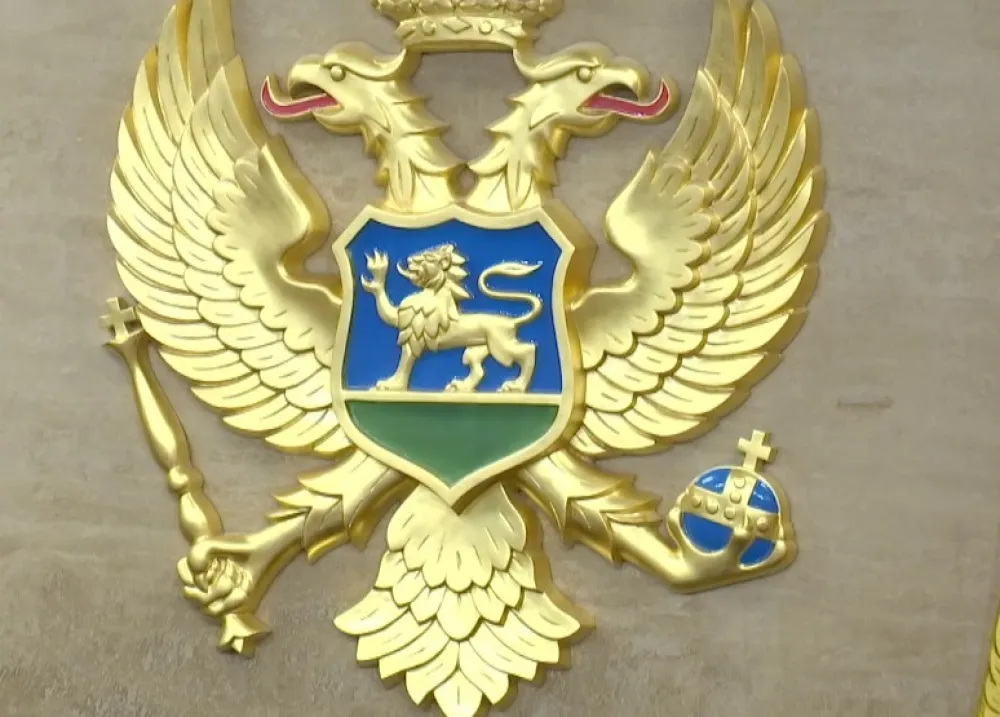 FOTO: Skup&scaron;tina CG, Skrein&scaron;ot - youtube