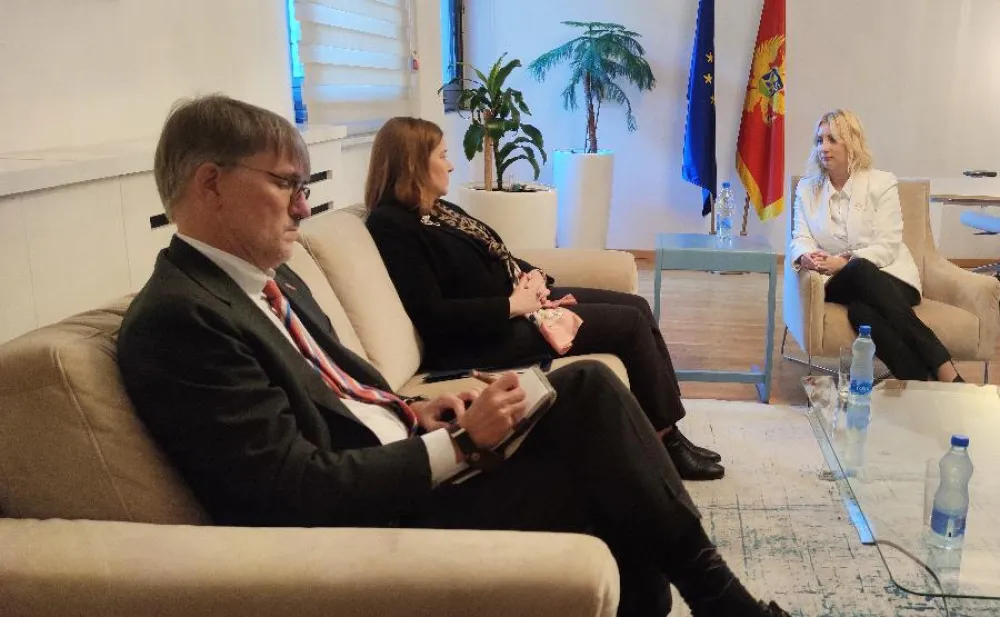 gorčević Rajnke
